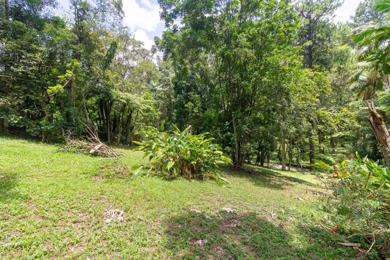 Casa de condomínio para venda tem 2900 metros quadrados - Foto 4