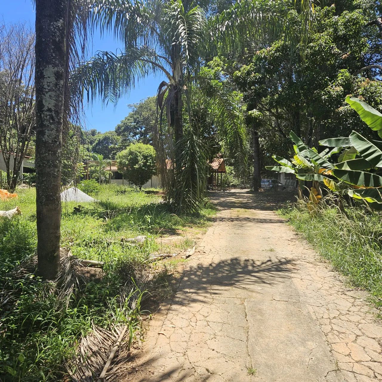 LINDO SÍTIO NOSSO RANCHO - Foto 5