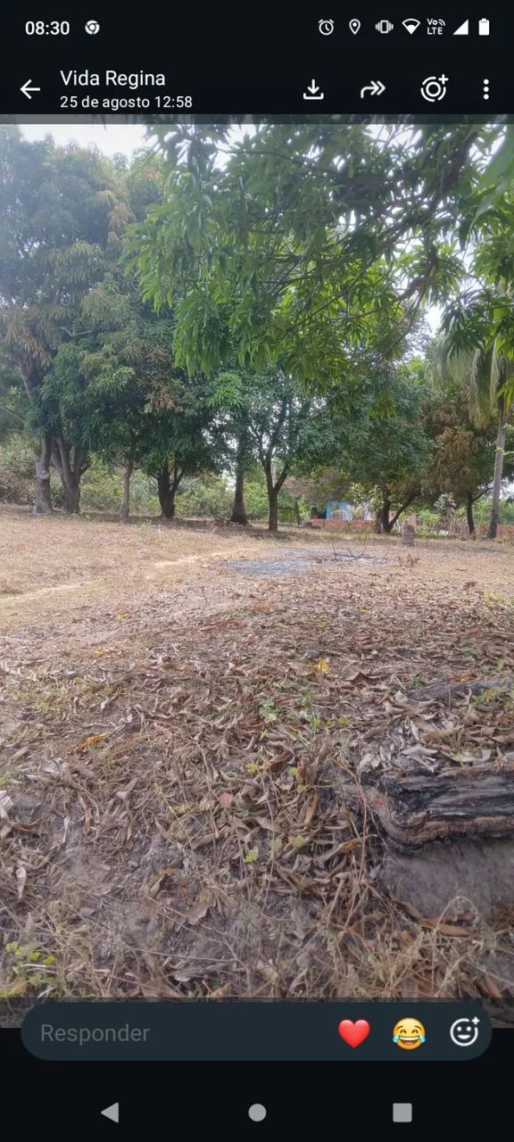 Terreno panaquatira