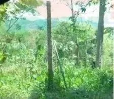 SAQUAREMA - Loteamento/Condomínio - BACAXA - Foto 2