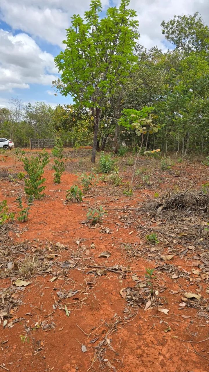Vendo Chale em Paraopeba. OPORTUNIDADE  - Foto 4