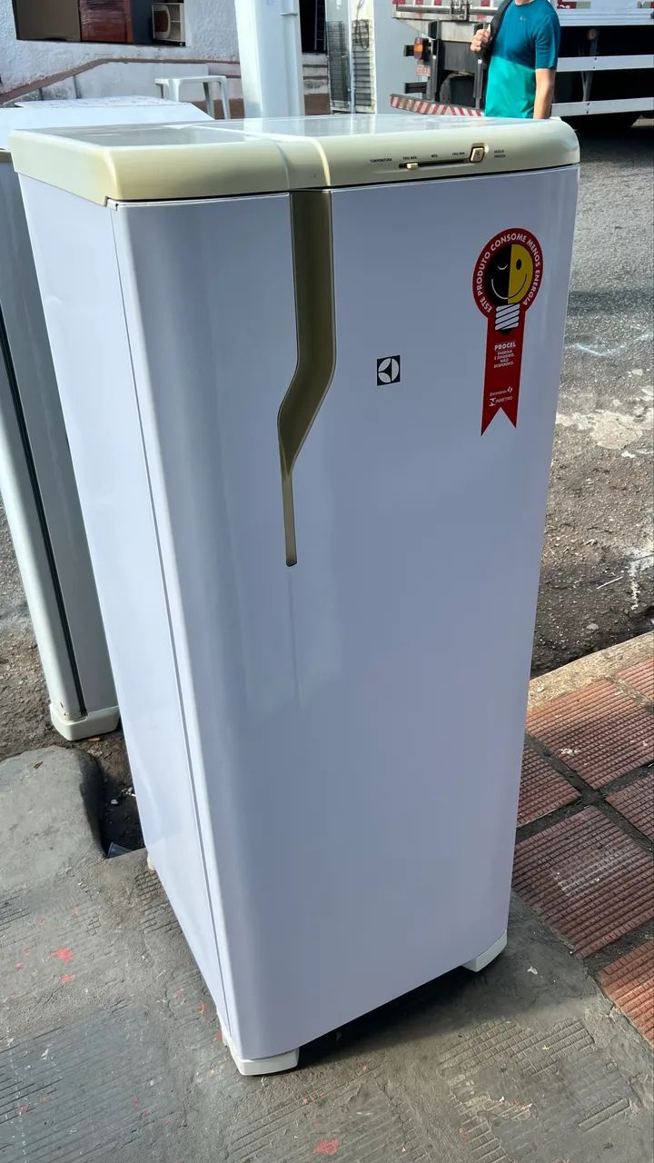 Geladeira Eletrolux 330L - Foto 3