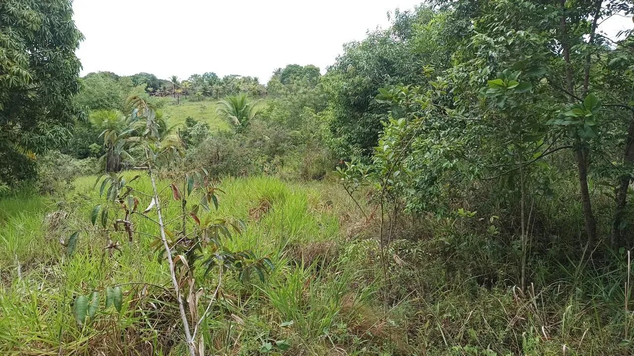 Área em   Conde - Jacuma  -  PB - Foto 3