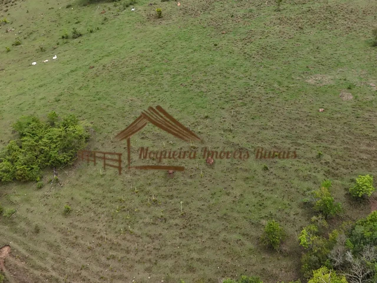 Sitio com 14 alqueires na região de Guareí-SP - Foto 5