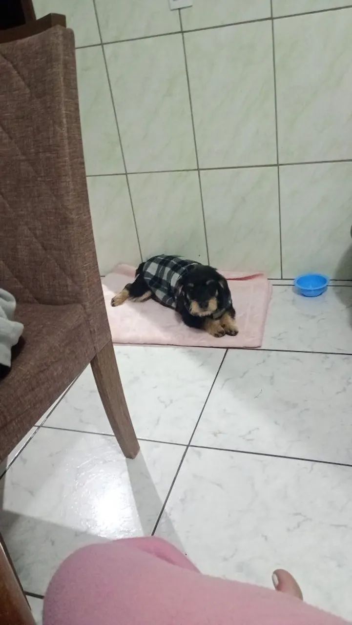 Pra doação  - Foto 2