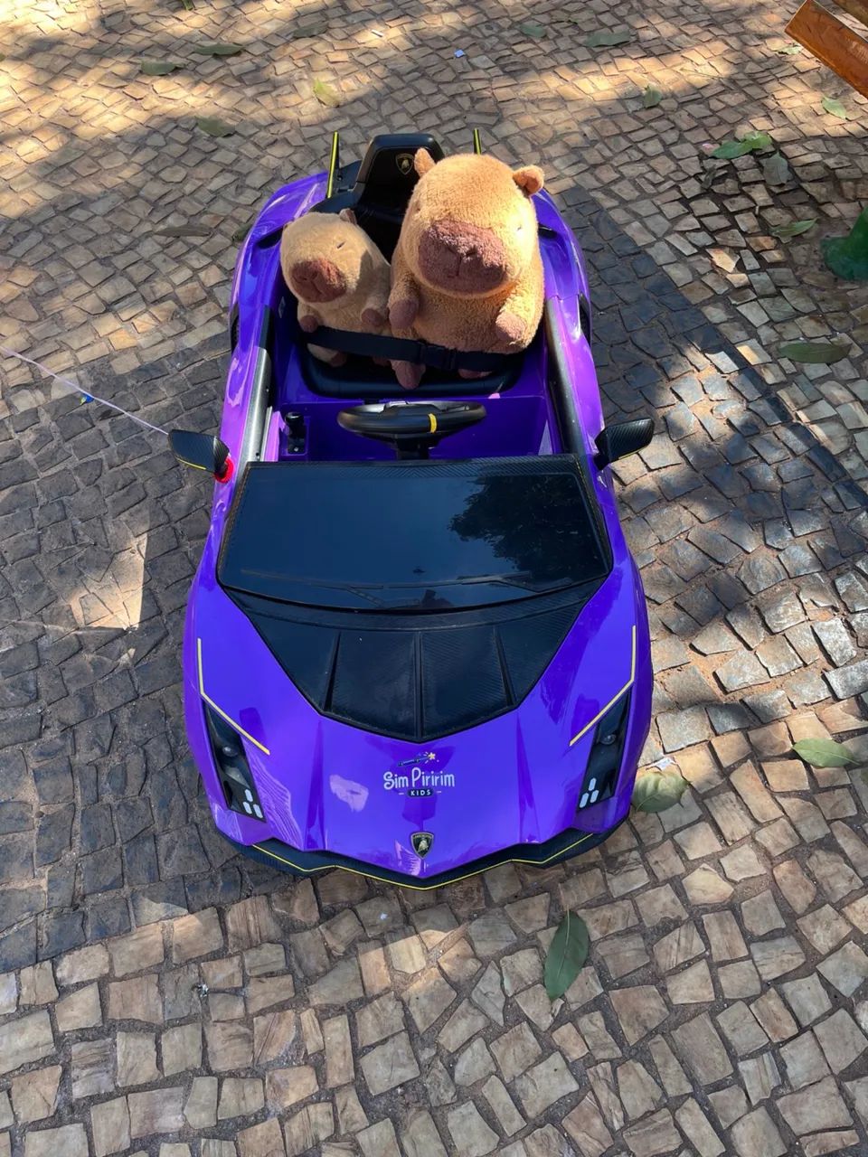 Carro elétrico infantil 