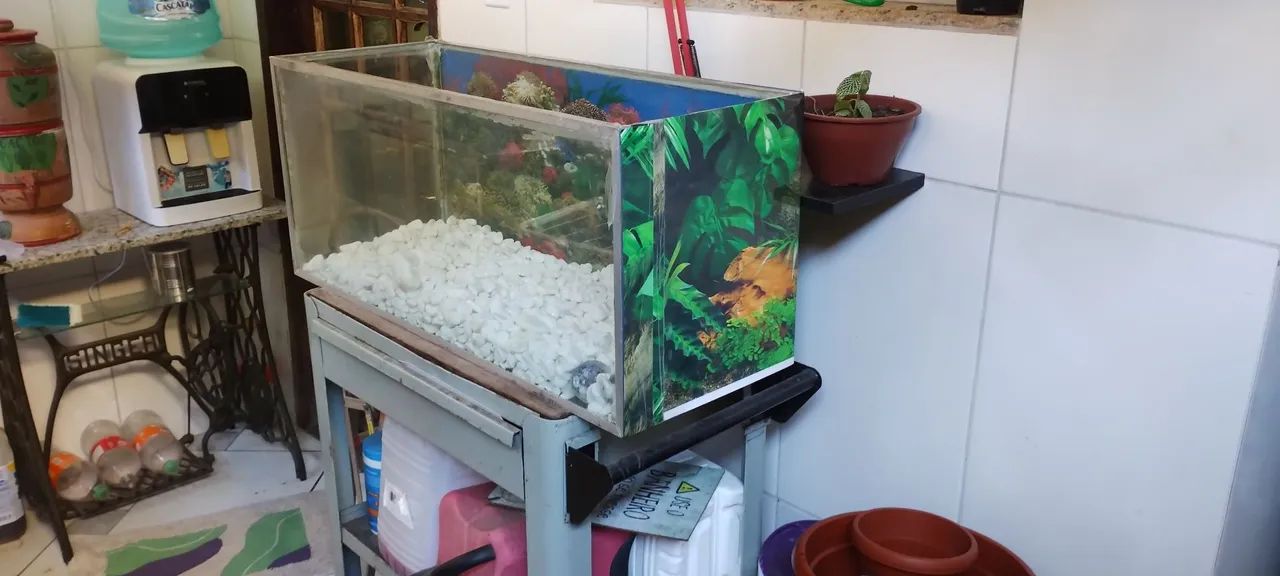 Aquário/terrário  - Foto 6