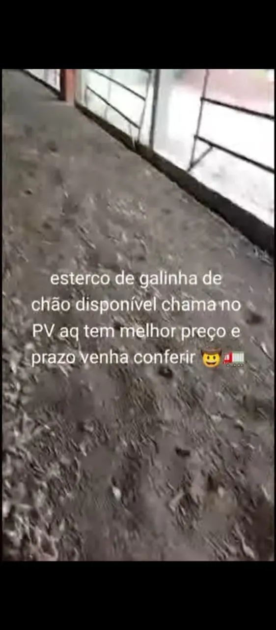 Esterco de galinha e frango bem curtido e seco  - Foto 4