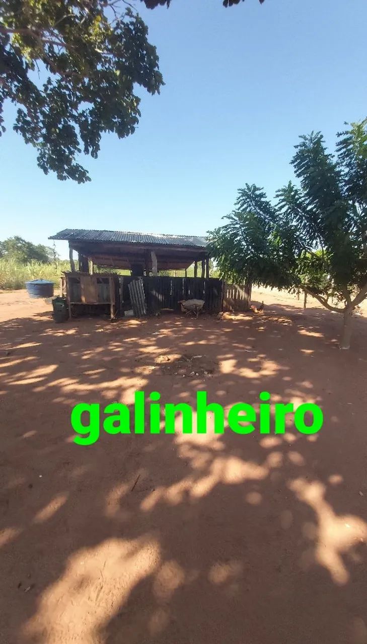 Oportunidade  - Foto 4