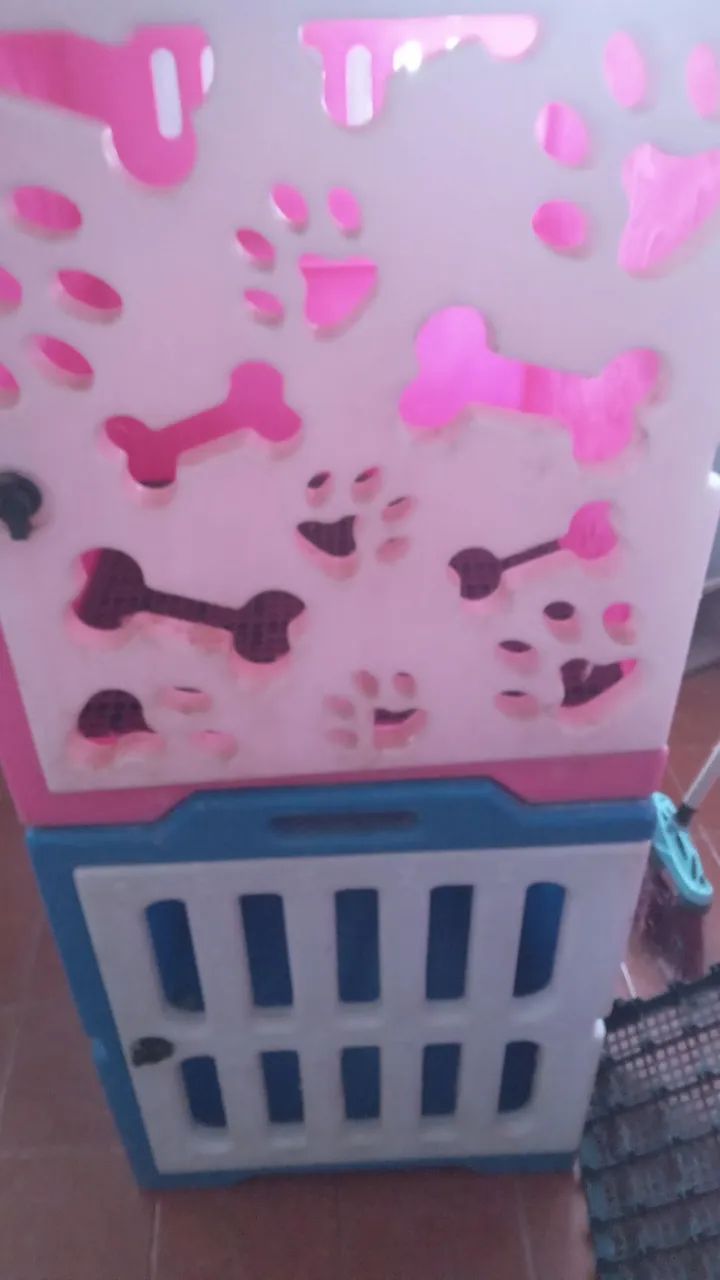 Casinhas para banho e tosa