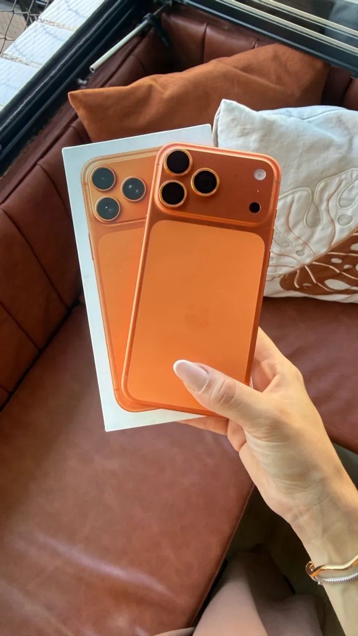 17 PRO MAX 256GB