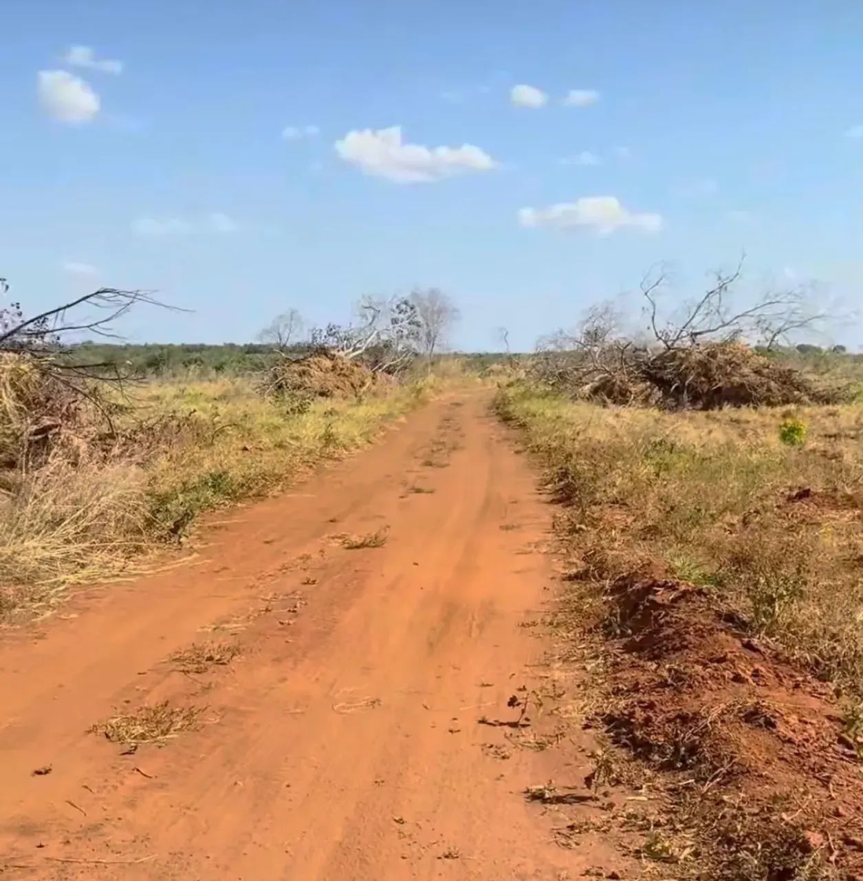 Fazenda a venda em Fatima Tocantins, oportunidade! - Foto 2