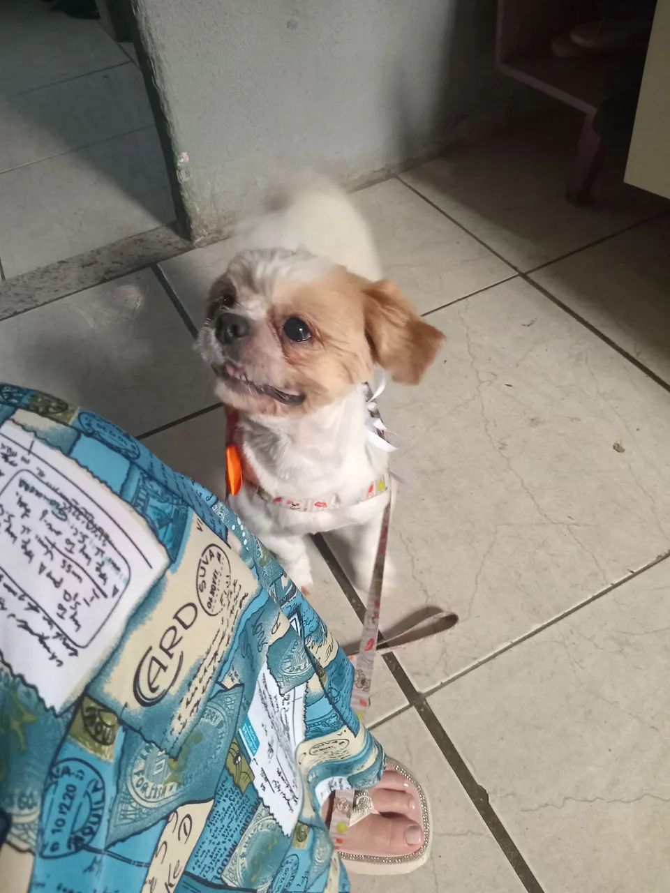 Shiatsu para cruza