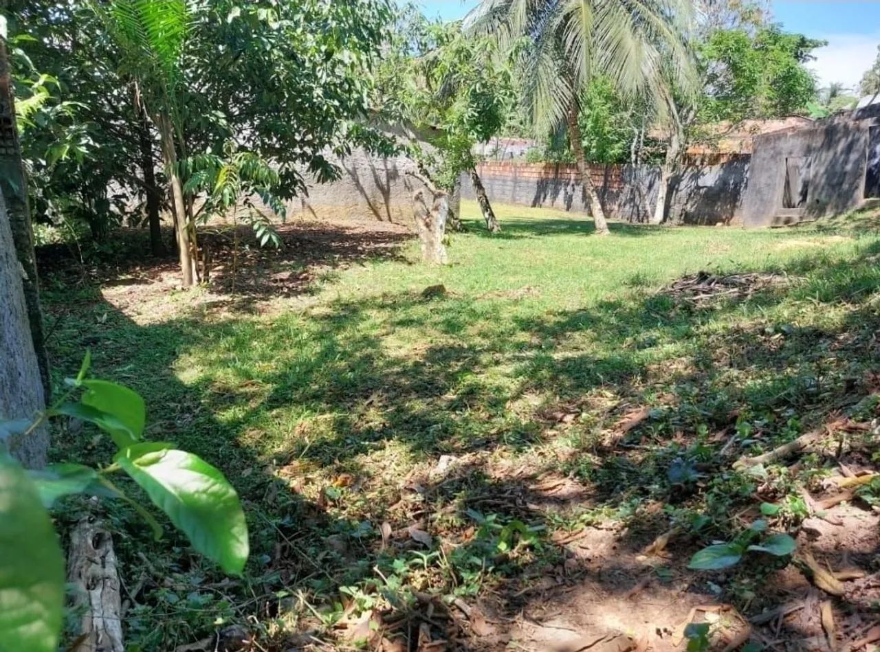 VENDO ESSE TERRENO EM MANACAPURU  - Foto 5
