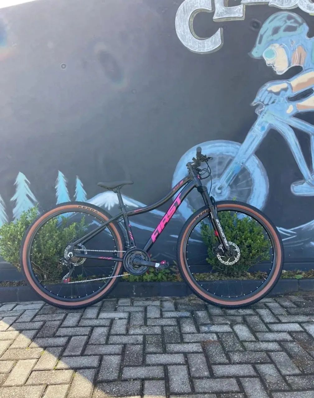 Bicicleta aro 29