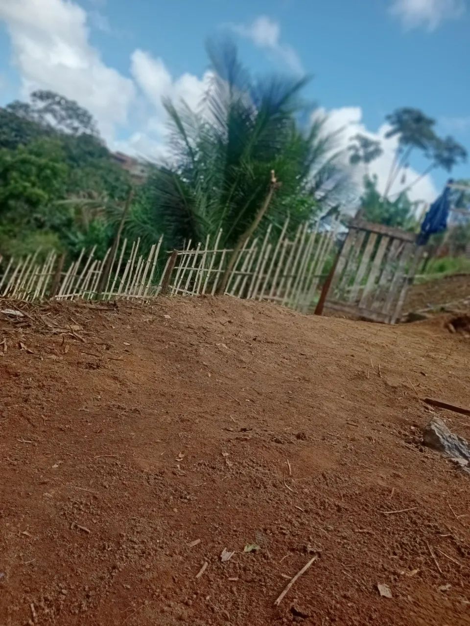 Terreno  - Foto 3