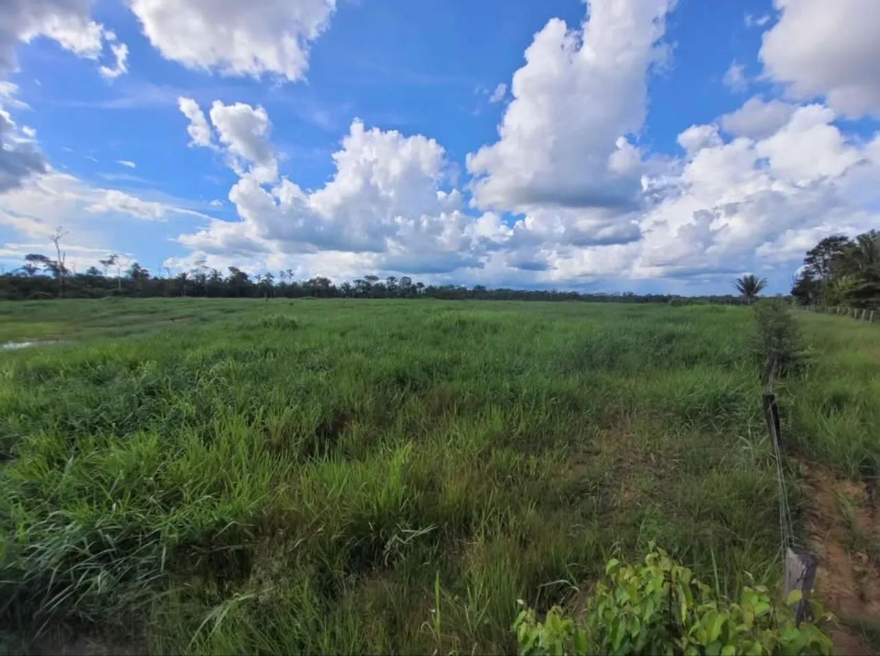 Sitio a venda prox. a porto velho  - Foto 2