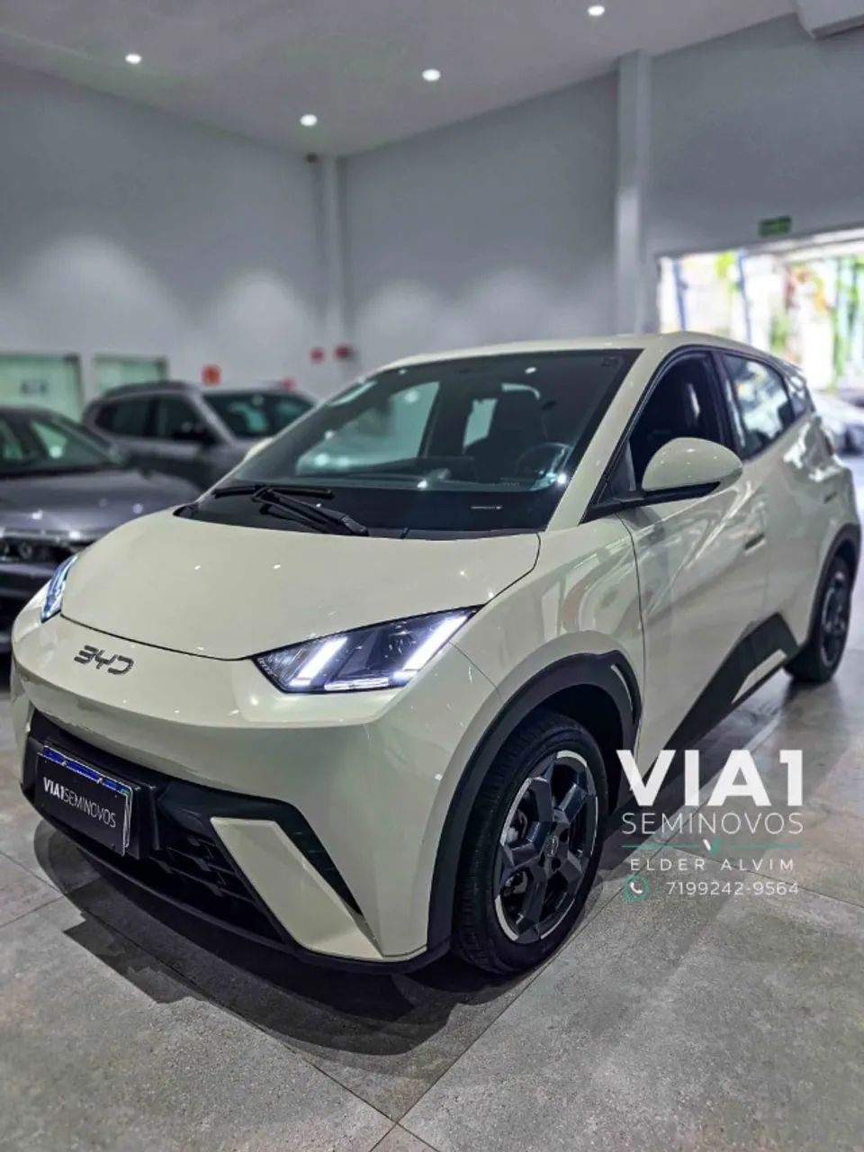 BYD Dolphin Mini (Elétrico) 2025