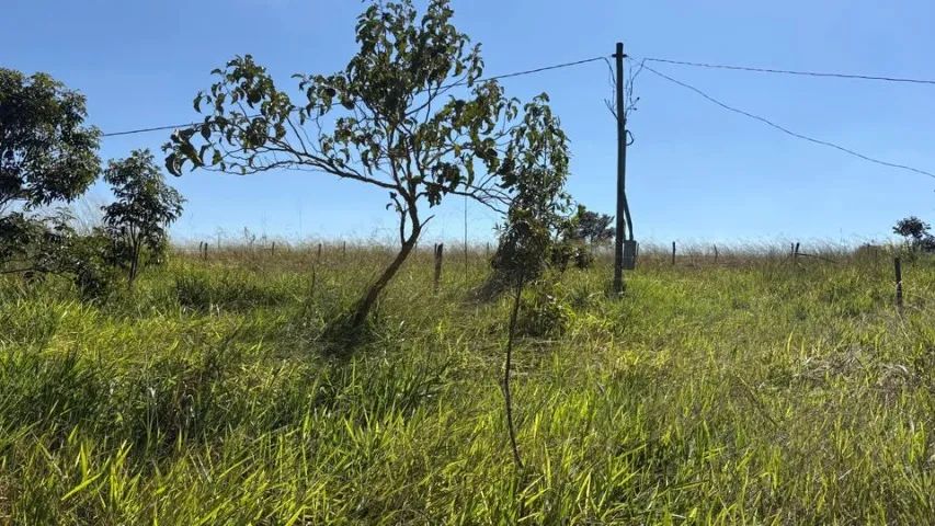 CHÁCARA DE 3.000m² - Foto 5
