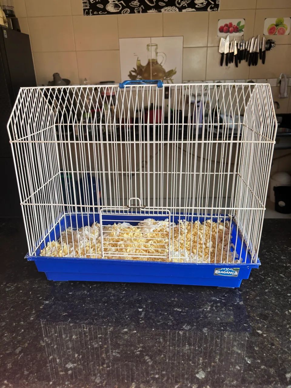 Gaiola Hamster tudo incluso - Foto 3