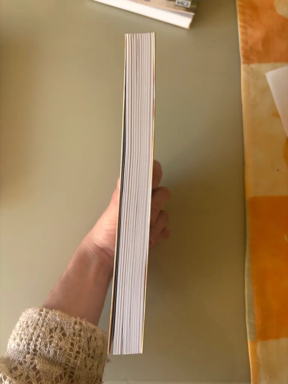 Livro Sem Medo de Amar  - Foto 3