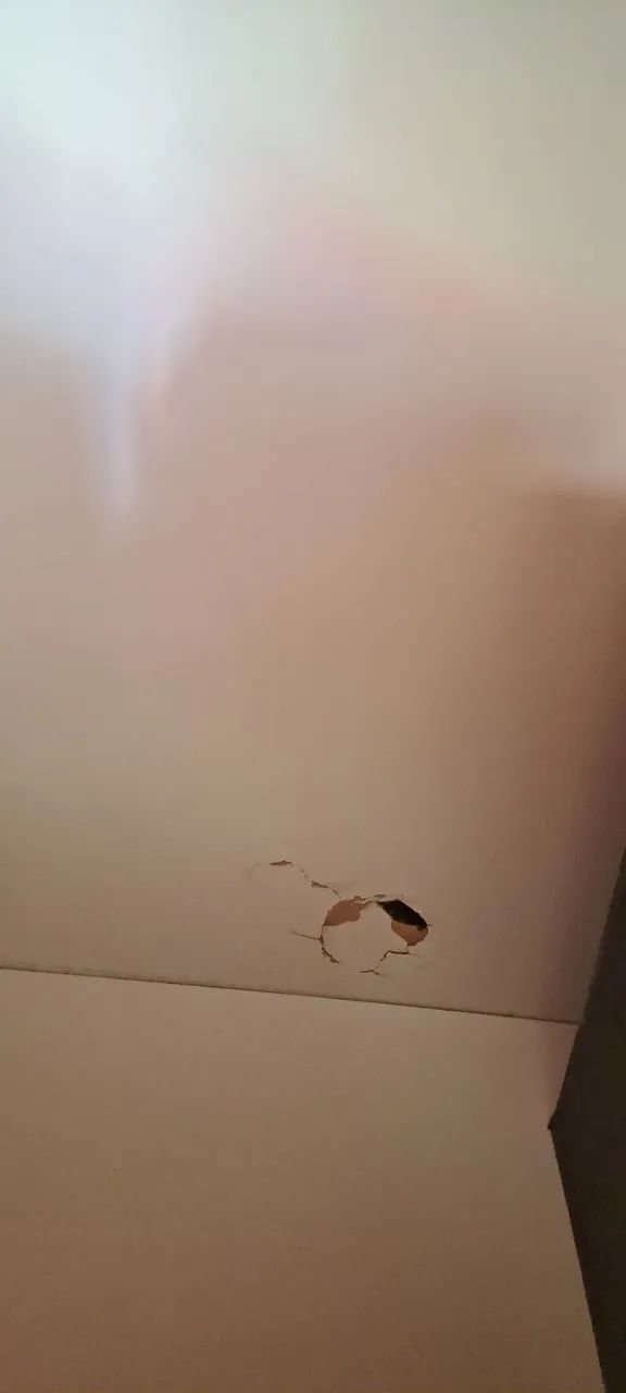 Berço provençal capitonê, guarda-roupas e colchão | Grão de Gente | Quarto bebê completo - Foto 6