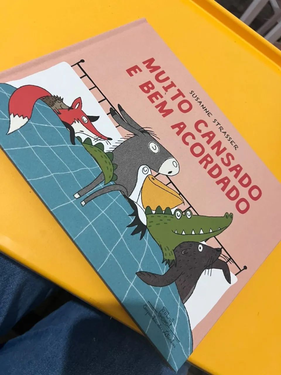 Livro Muito cansado e bem acordado