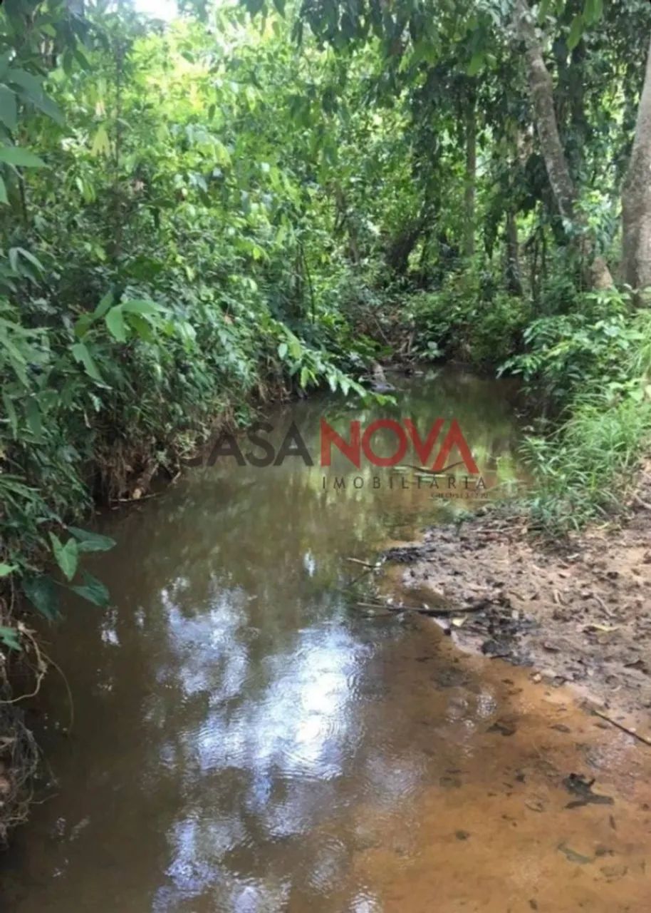 Fazenda com 72,5 tarefas em Itaporanga D'Ajuda