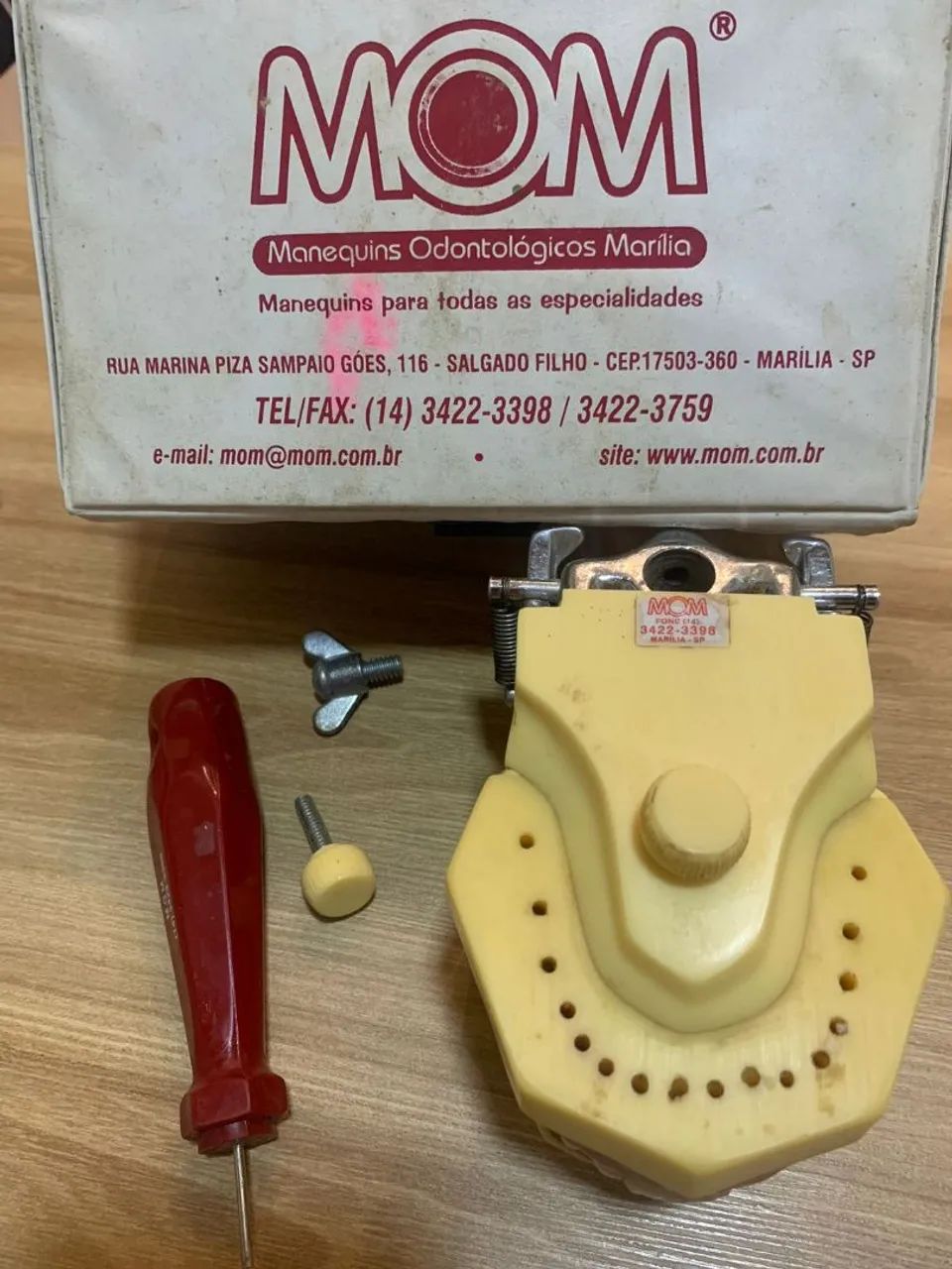 Manequim odontológico dentística MOM - Foto 2