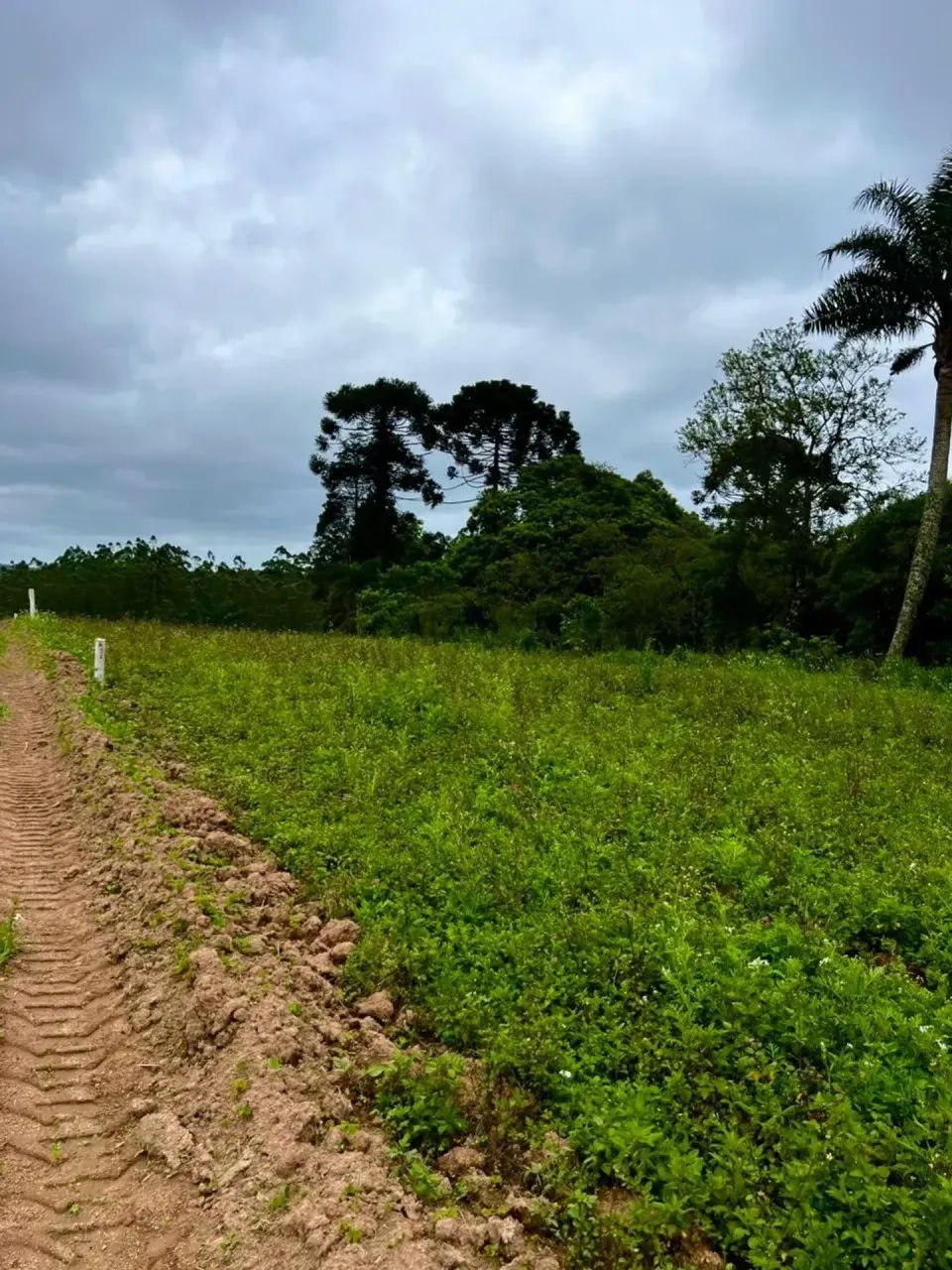 85M- TERRENO DE ALTO PADRÃO EM COTIA - Foto 4