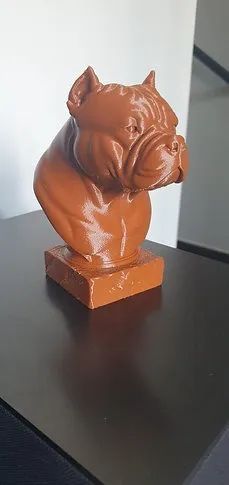 Busto American Bully - Foto 2