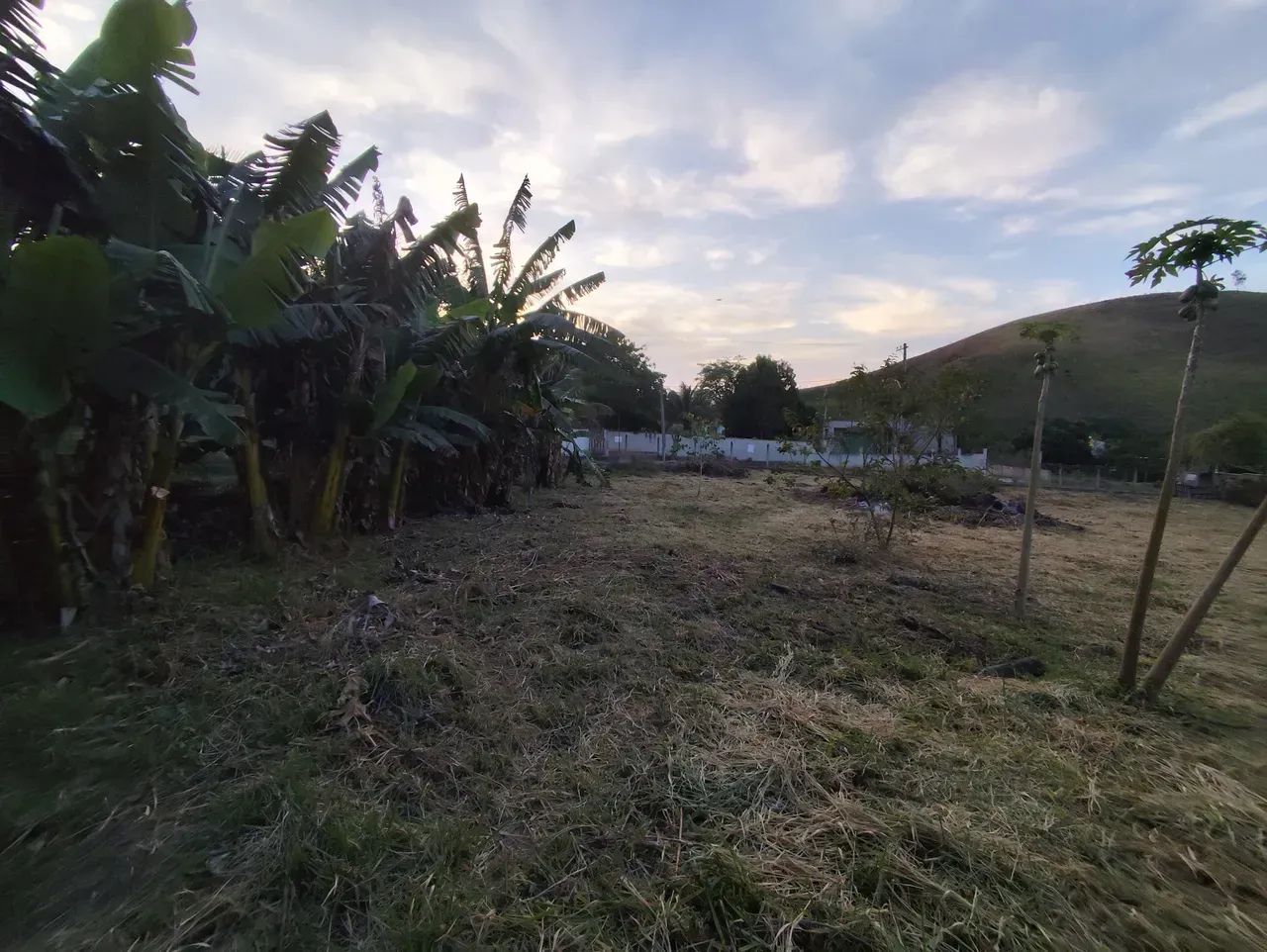 Lote/Terreno para venda possui 500 metros quadrados - Foto 9
