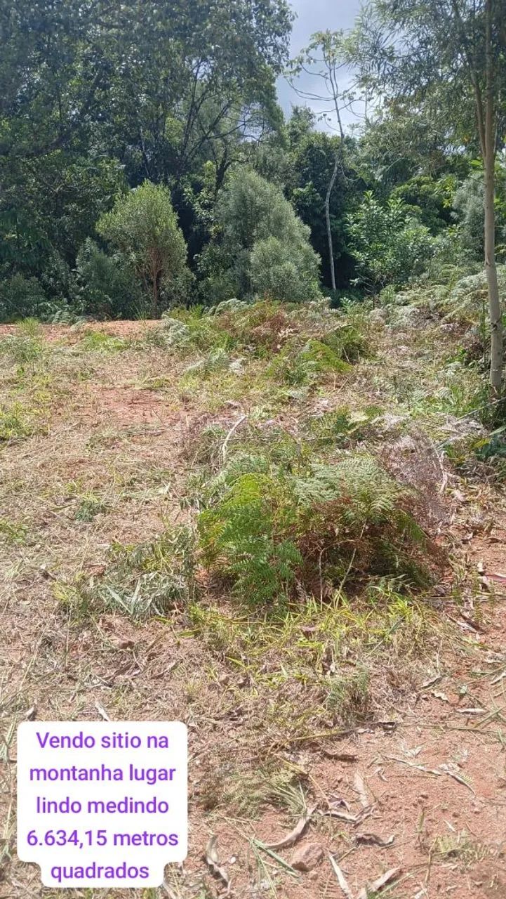 Foto - Governador Celso Ramos - 