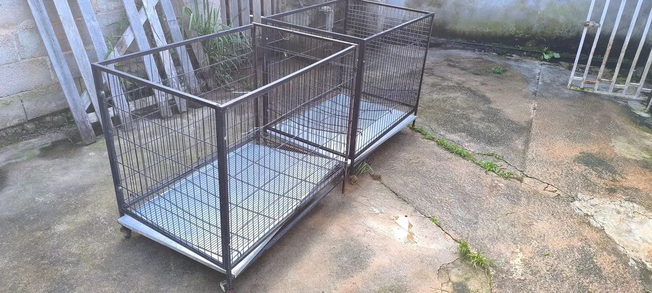 Gaiola/Corredeira para Cães 