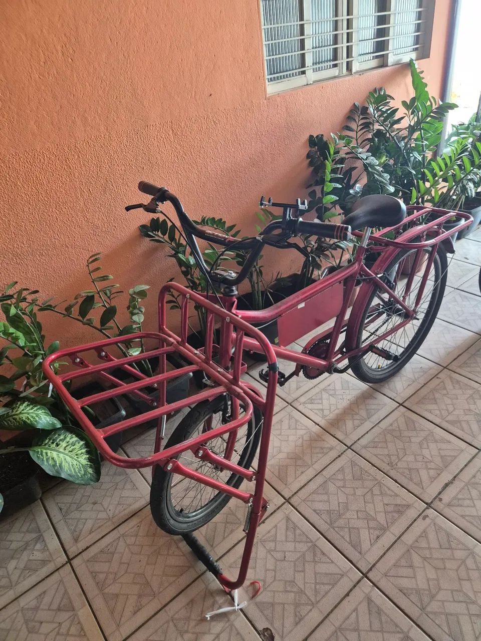 Bicicleta cargueira 