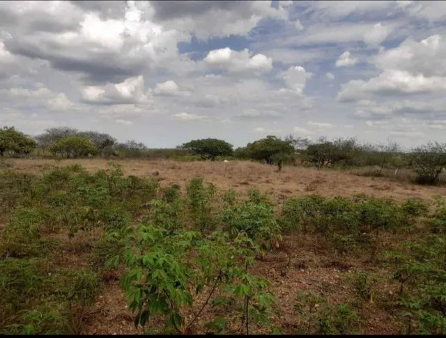 VENDE-SE TERRENO - Foto 3