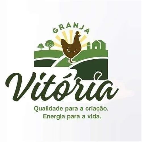 Frangas frangos pintinhos galinhas da angola ovos galados rações codornas  gsb - Foto 5