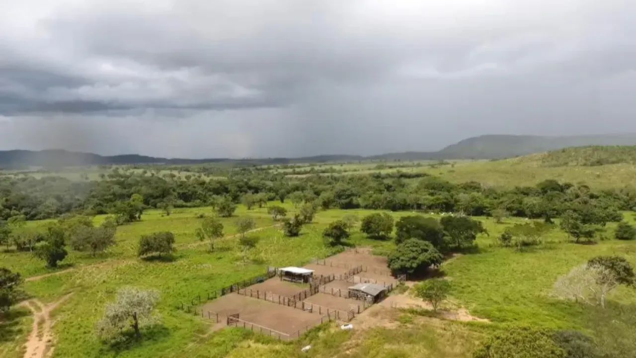 FAZENDA JOMA | PEIXE  TO