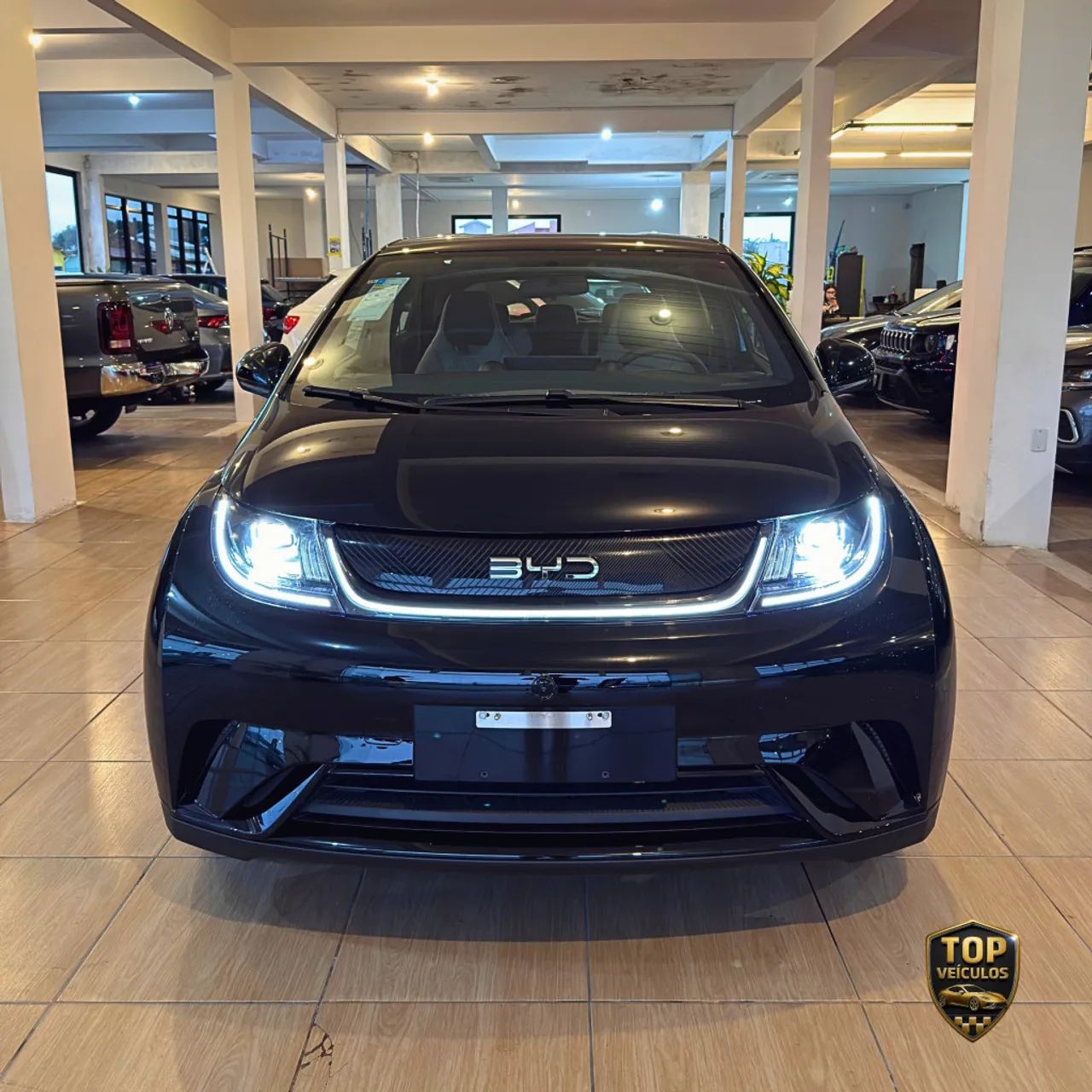 BYD Dolphin GS (Elétrico) 2027 - Foto 2