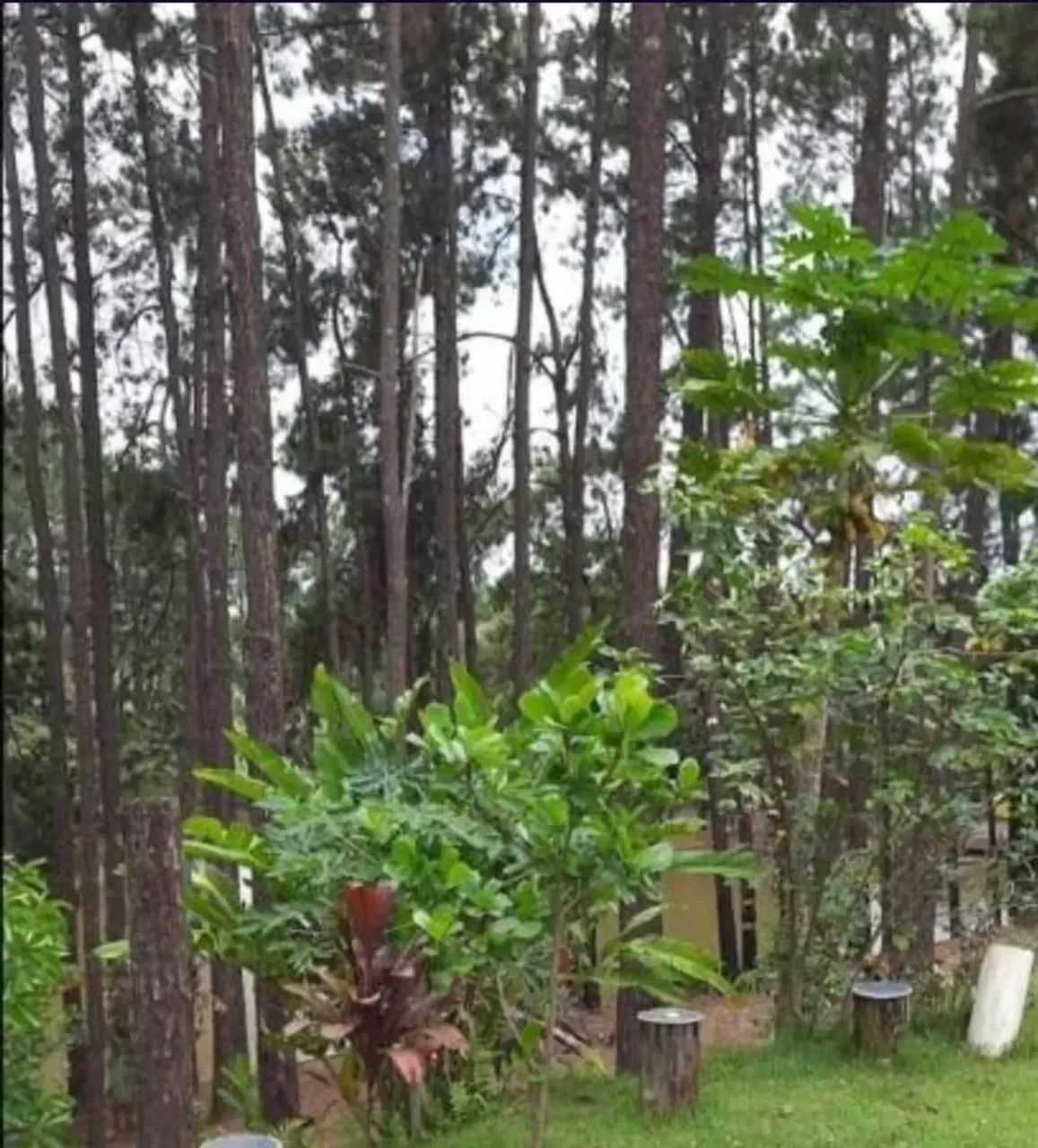 Condomínio Vale das Emas Terreno com 381 m2 e Projeto Aprovado! - Foto 5