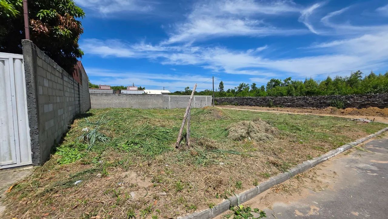 Jardinagem / paisagismo - Foto 4