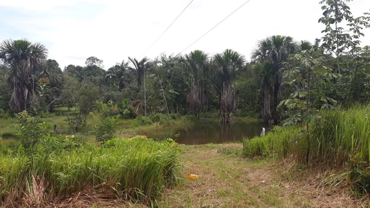 Sítio com casa com Asfalto na Porta - Foto 2