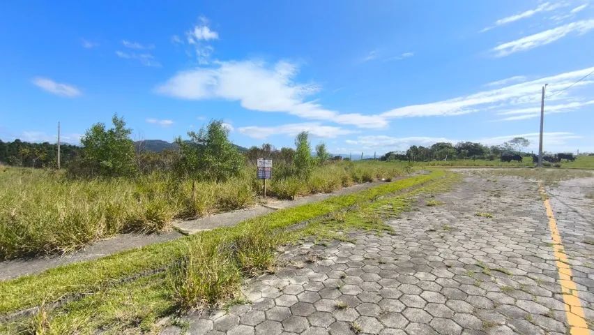 Terreno à Venda no Loteamento Bosque Imbituba - Foto 5