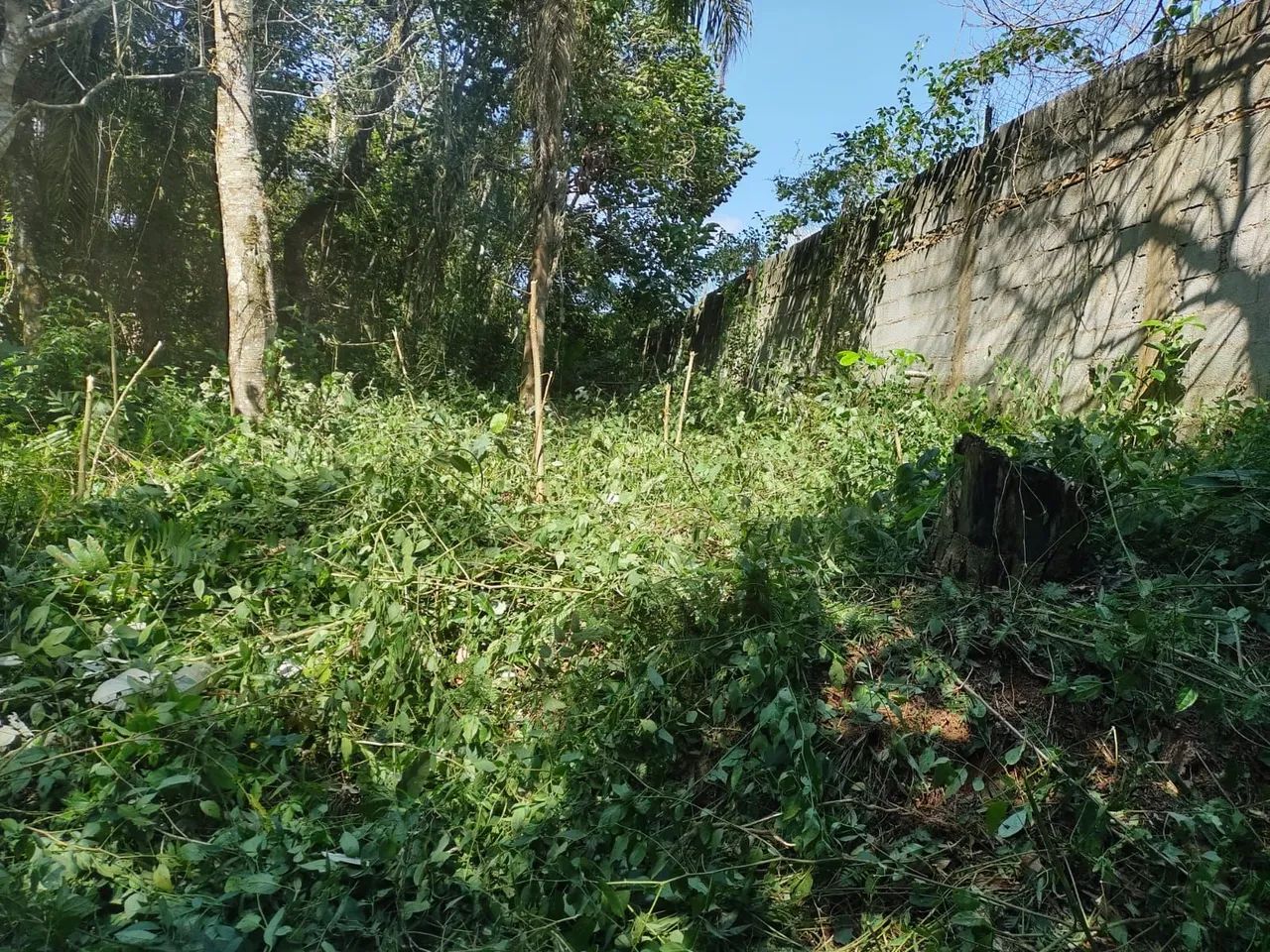Terreno - Foto 3