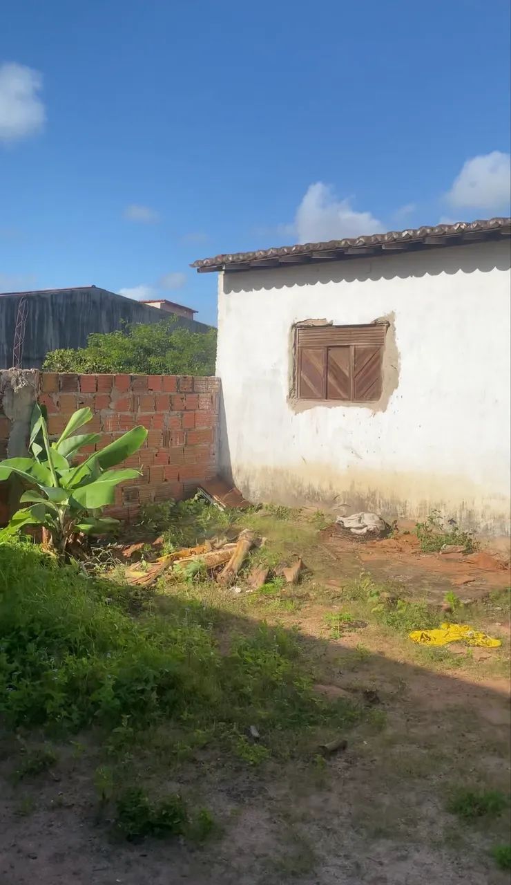 Vendo terreno com casa em Murici  - Foto 3