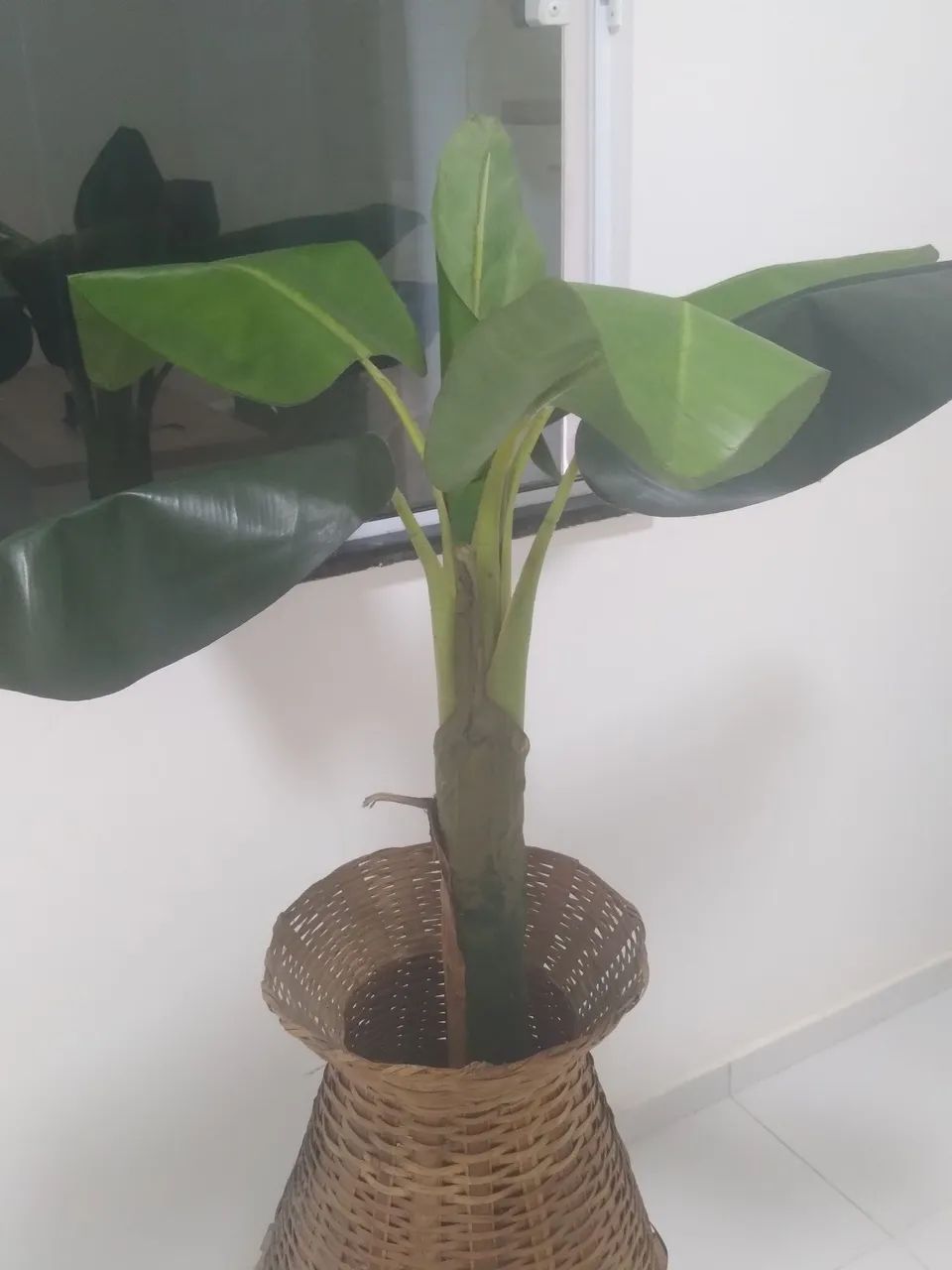 Planta Bananeira Artificial com jarro
