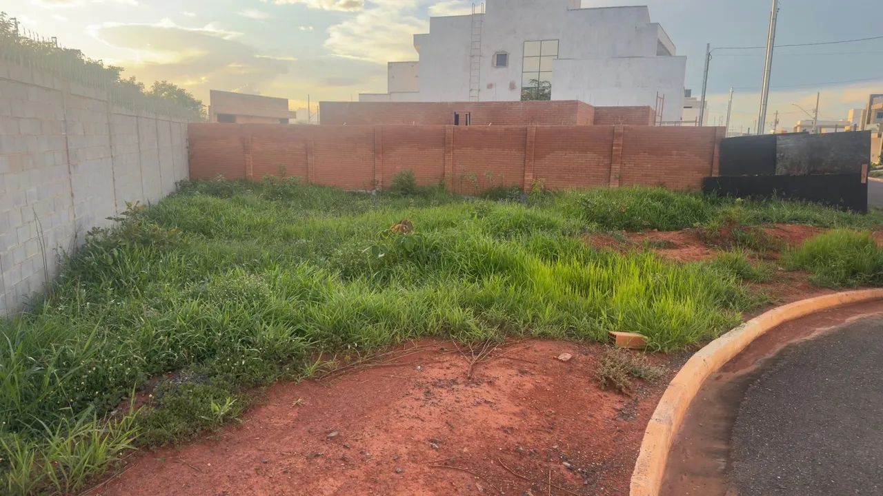 Foto - Montes Claros - Universitário