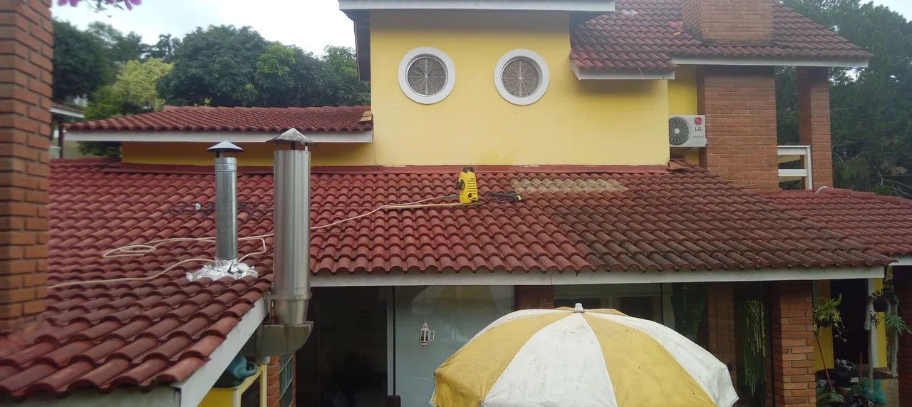 Pintor Profissional