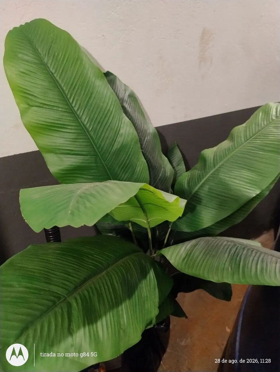 Planta artificial  - Foto 2