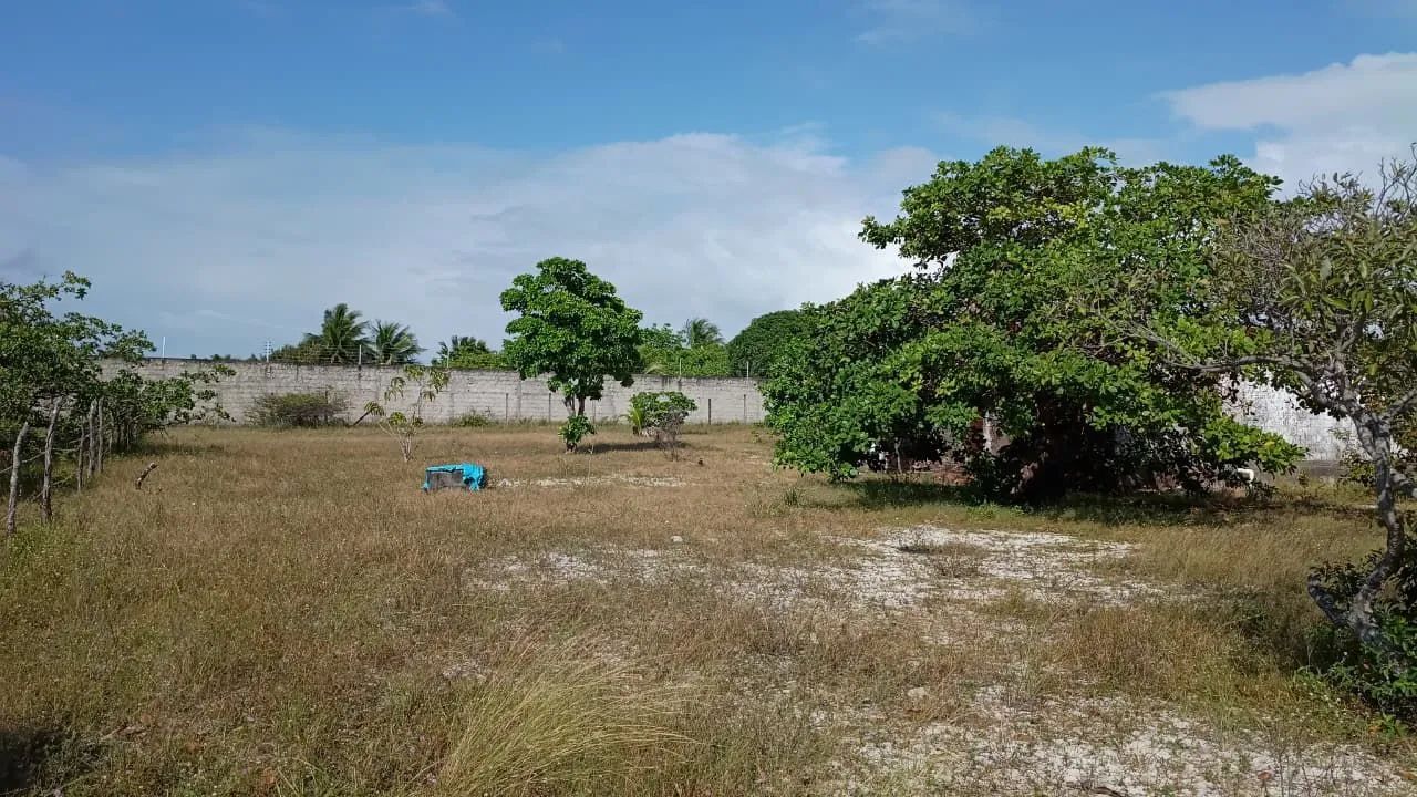 Terreno com casa - Foto 4